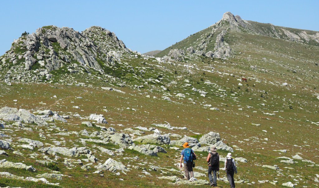 Esquerdes de Rojà Vein